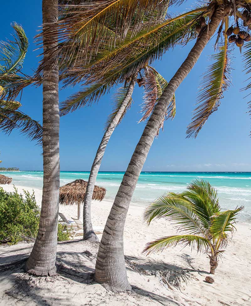 Bahamas Beach Front Resort