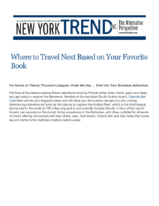 New York Trend Article